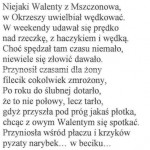 WIERSZ EWY JOWIK- WYRÓŻNIENIE HONOROWE W VI BIELSKIM KONKURSIE SATYRYCZNYM WRZUĆ NA LUZ W KATEGORII LITERACKIEJ